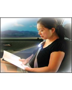 Seat Belt Light