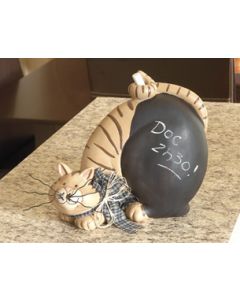 Cat Blackboard