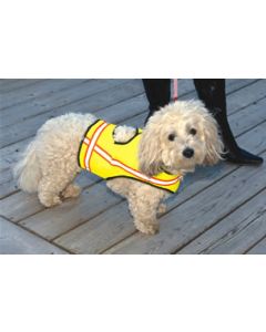 Gilet réflecteur pour chien