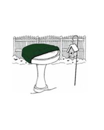 Bird Bath Cover