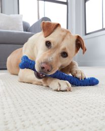 Chewbrush Brosse à dents autobrossante pour chiens